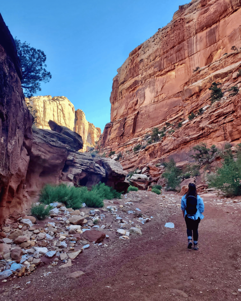 business owner walking through Capitol Reef National Park